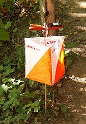 ORIENTEERING_Lanterna