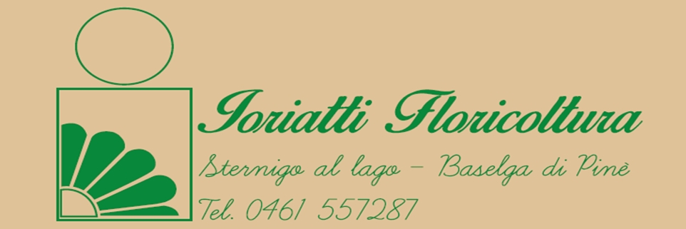 Floricoltura_Ioriatti_2