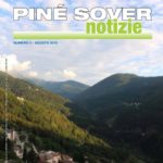 miniatura_pinesovernotizie082016